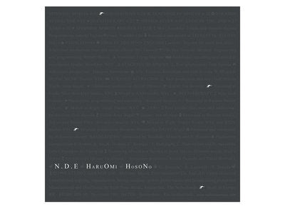 Haruomi Hosono - N.D.E
