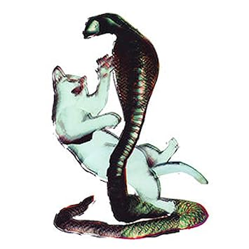 Les Savy Fav - The Cat And The Cobra