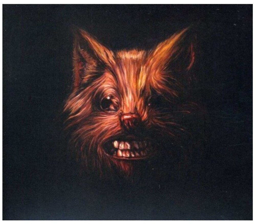 the album cover for Swans - The Seer