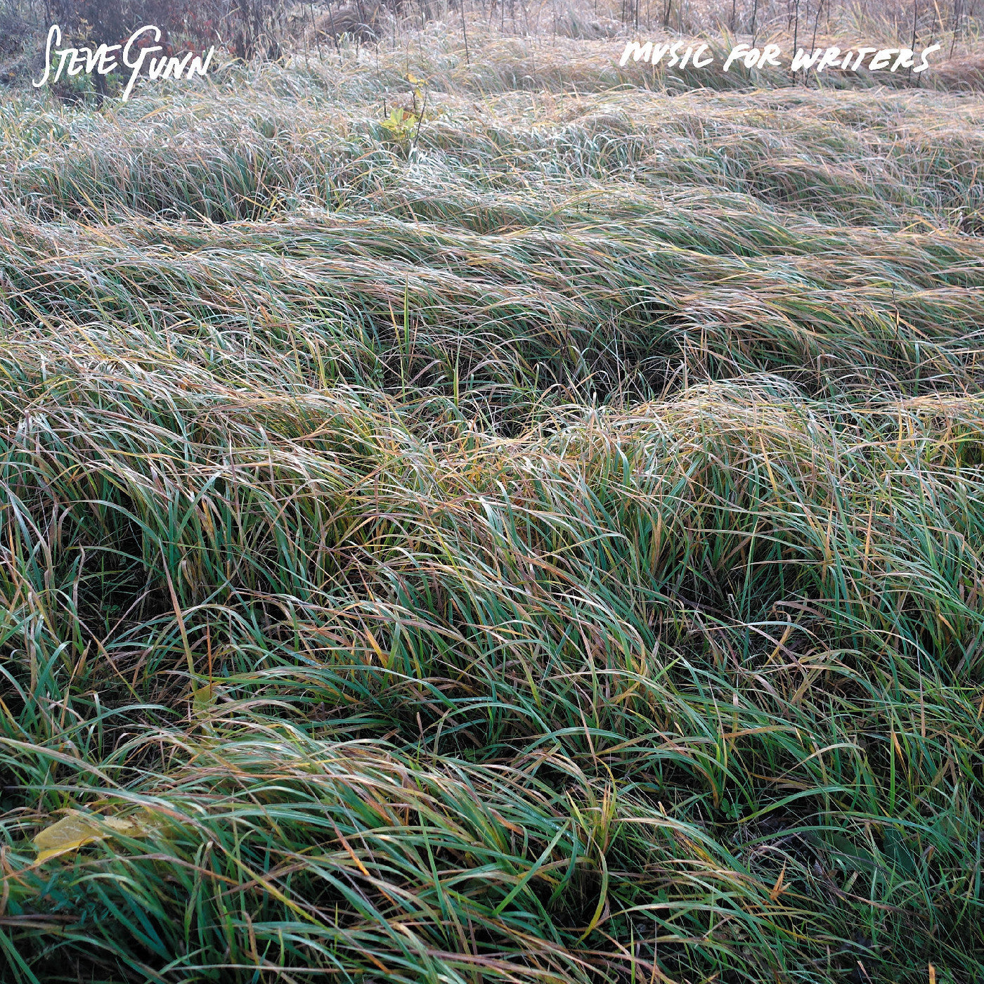 Steve Gunn - Music For Writers (Orange)