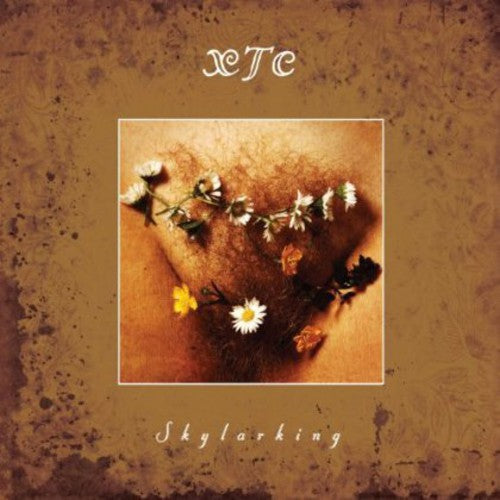 the album cover for Xtc - Skylarking: Corrected Polarity Edition