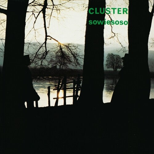 Cluster - Sowiesoso (50th Anniversary)