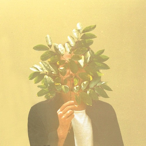 French Kiwi Juice - French Kiwi Juice