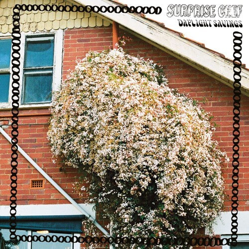 Surprise Chef - Daylight