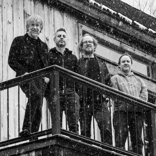 Phish - Sigma Oasis (seafoam/black vinyl)
