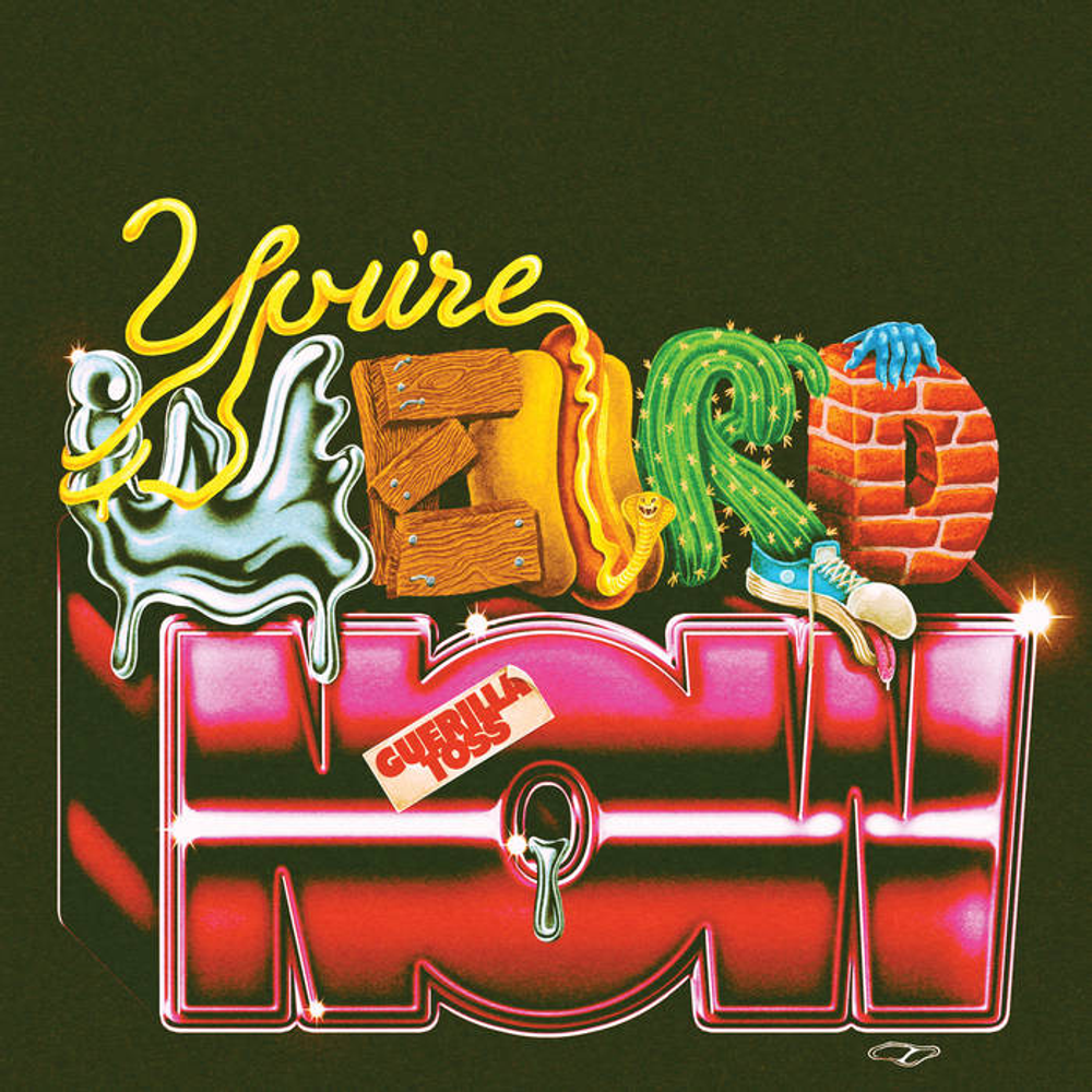the album cover for Guerilla Toss - You're Weird Now