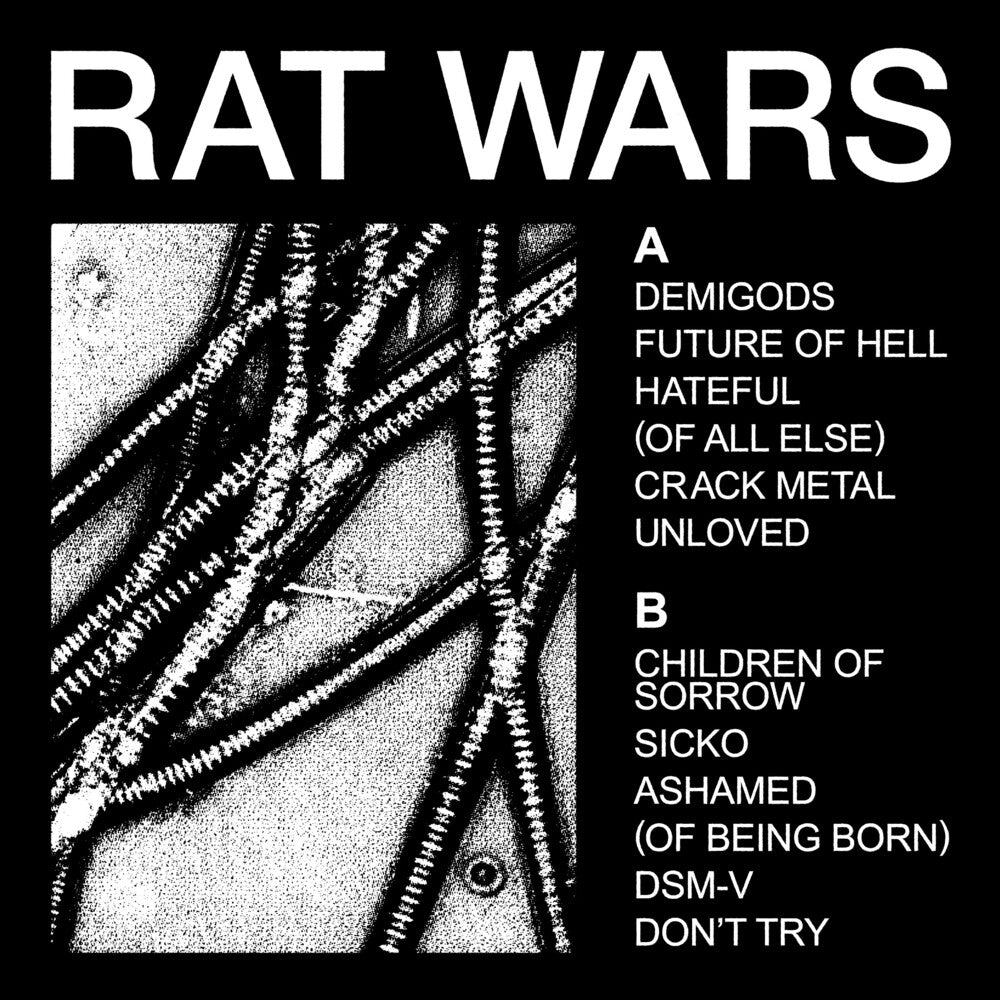 the album cover for HEALTH - RAT WARS