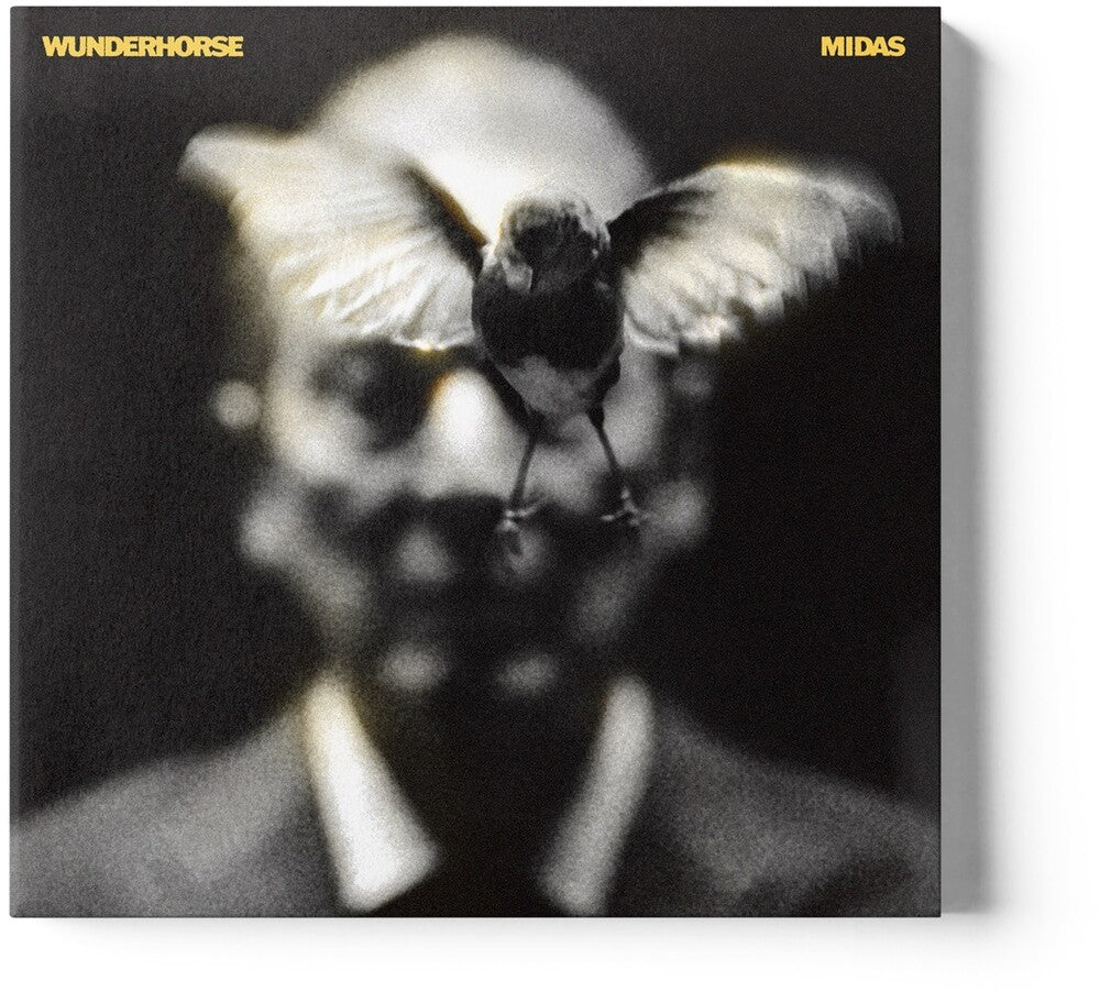 the album cover for Wunderhorse - Midas