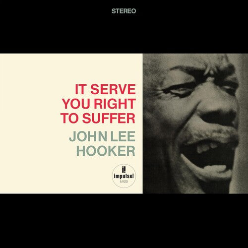 John Lee Hooker - It Serve You Right To Suffer (Verve Acoustic Sounds Series)