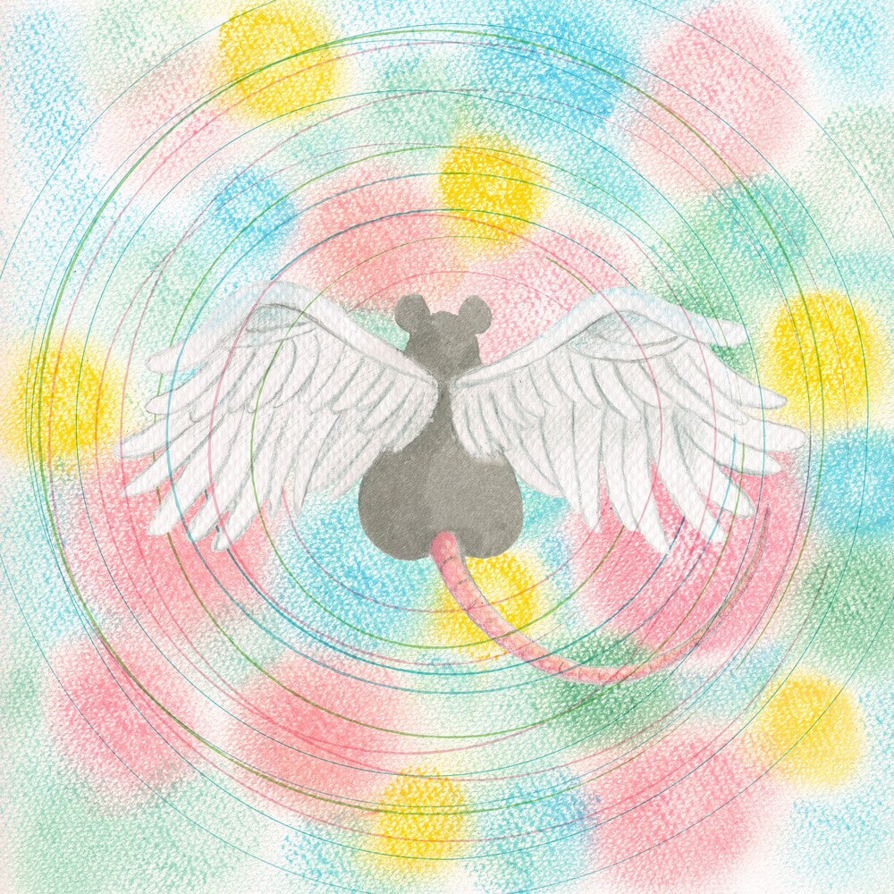 the album cover for Semones, Mei - Animaru