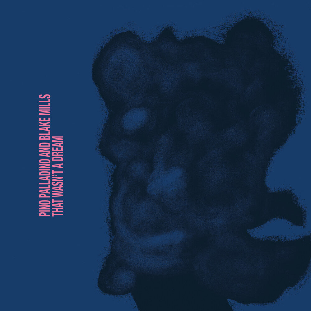 Palladino, Pino / Mills, Blake - That Wasn't A Dream