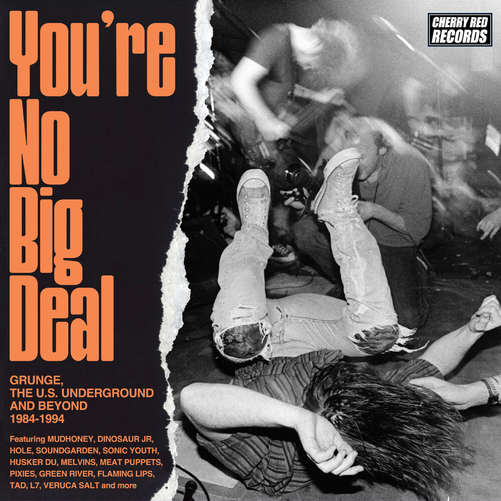You're No Big Deal: Grunge Us Underground & Beyond - You're No Big Deal: Grunge Us Underground & Beyond