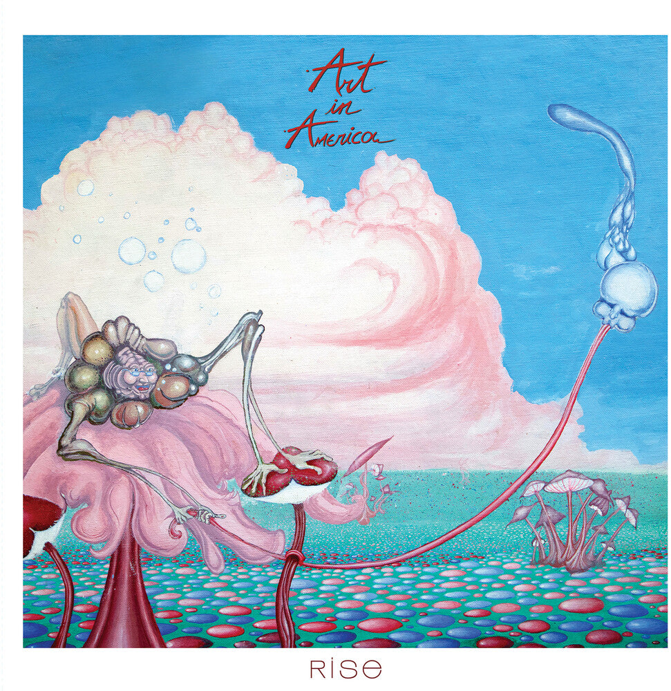 the album cover for Art In America - Rise