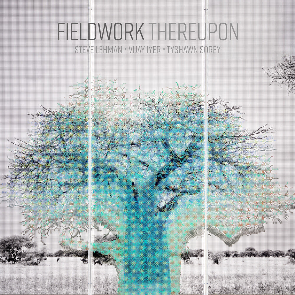 Fieldwork - Unclassified Affections