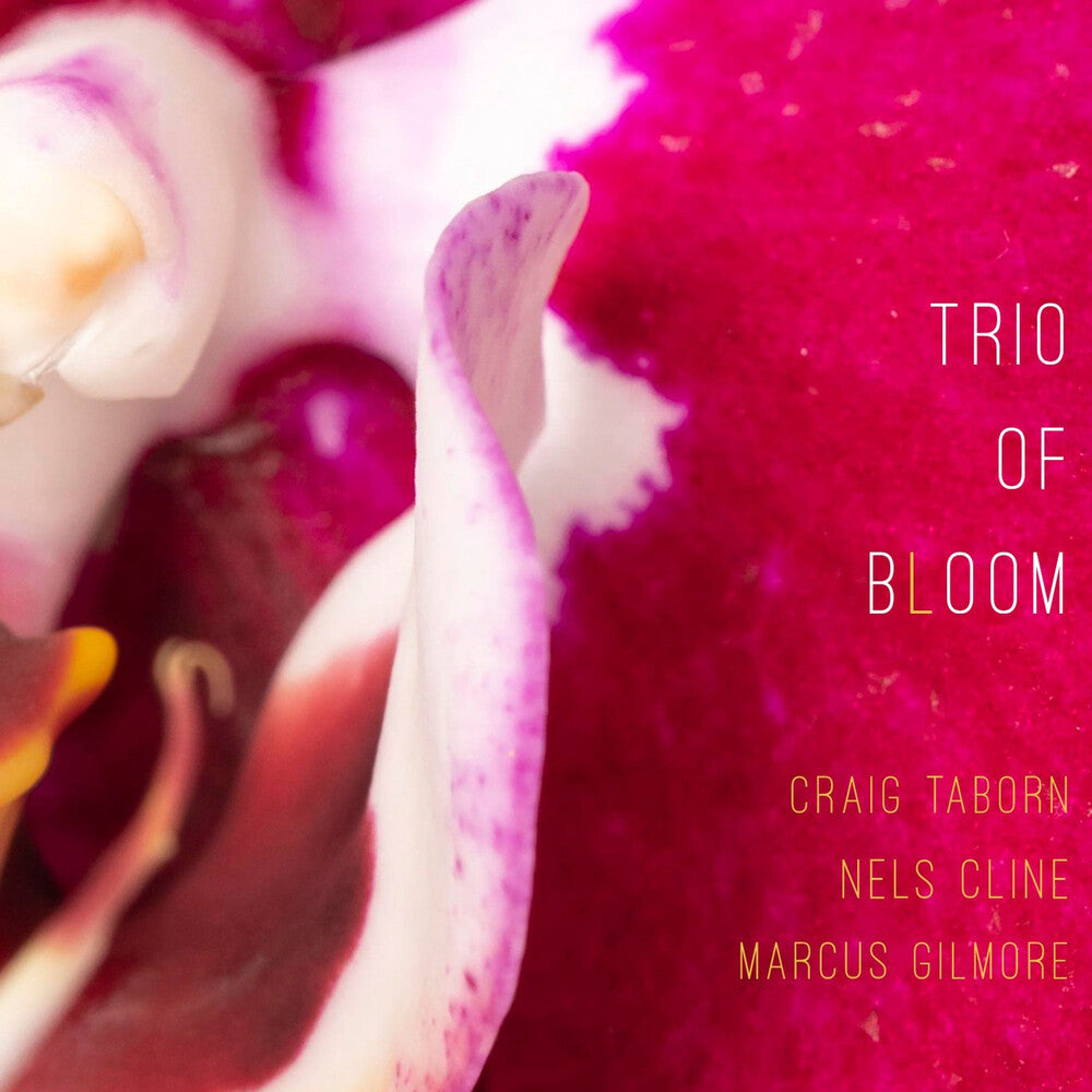 Trio Of Bloom - Trio Of Bloom