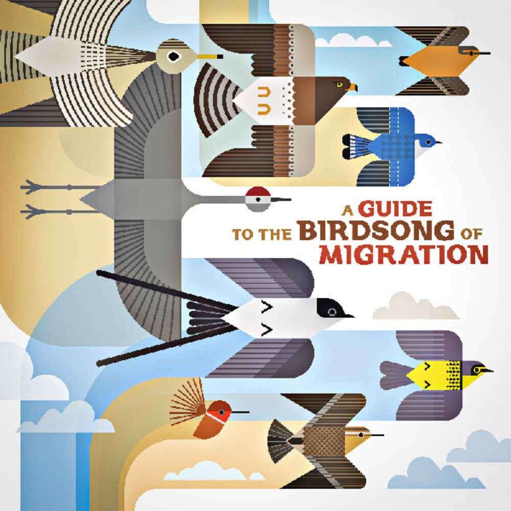 Guide to the Birdsong of Migration / Various - A Guide to the Birdsong of Migration (Various Artists)