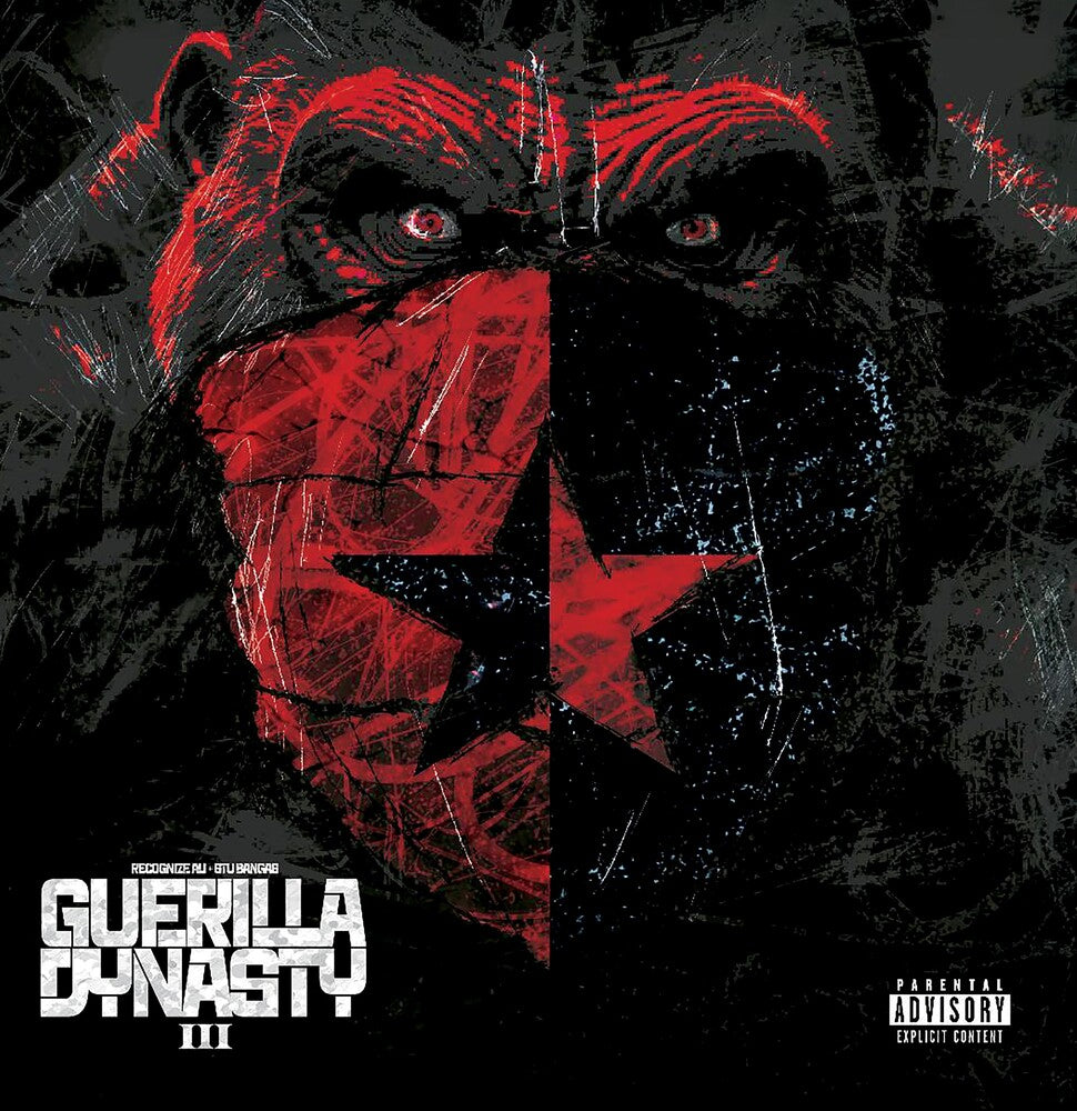 Recognize Ali / Stu Bangas - Guerilla Dynasty 3