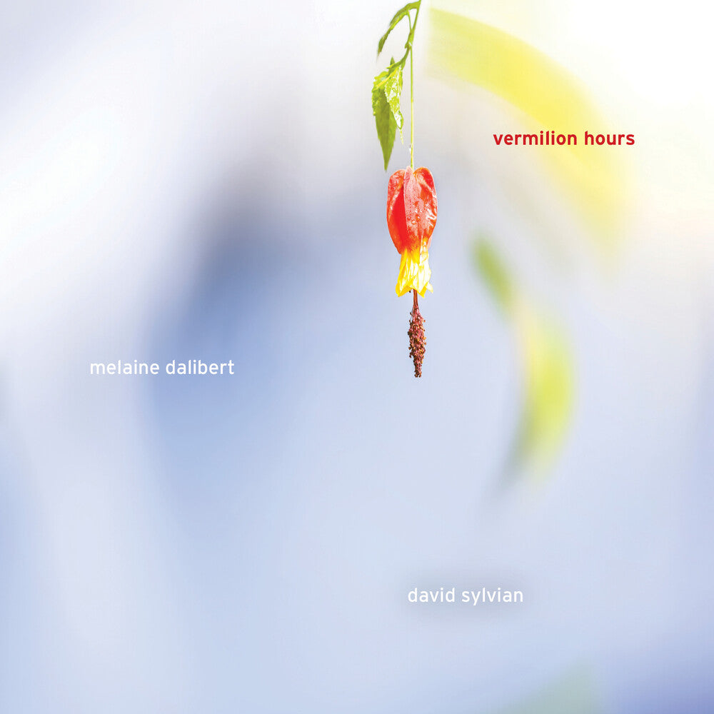 the album cover for Melanine Dalibert / Sylvian,David - Vermilion Hours