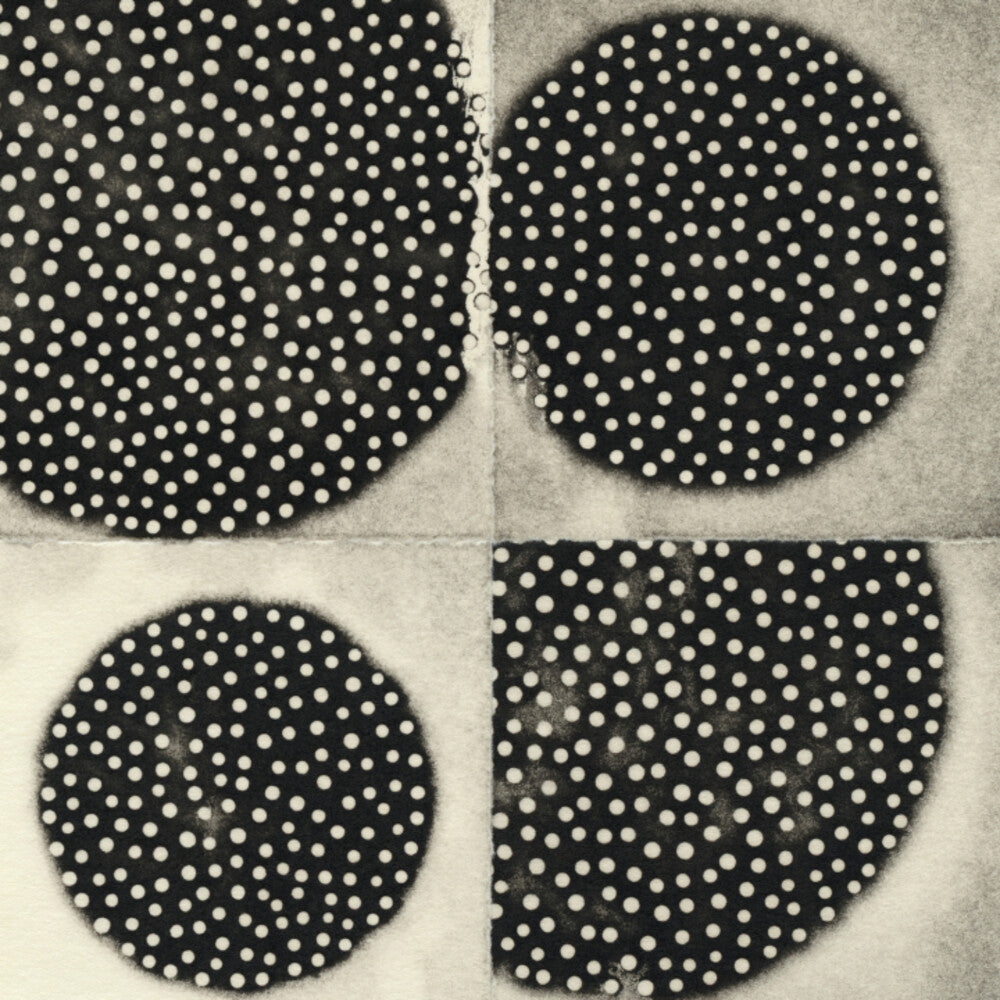 K Leimer . - Resting Forms