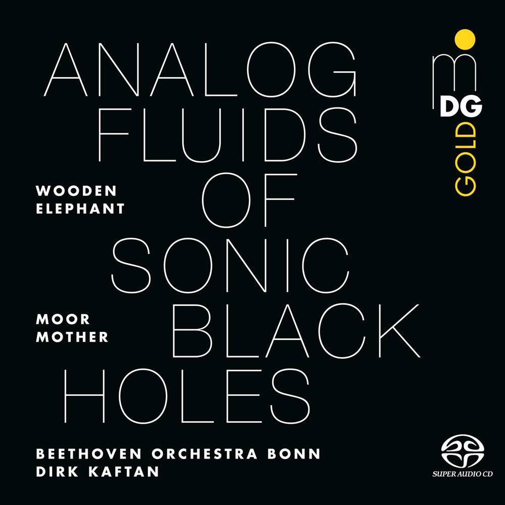 Moor Mother - Analog Fluids Of Sonic Black Holes