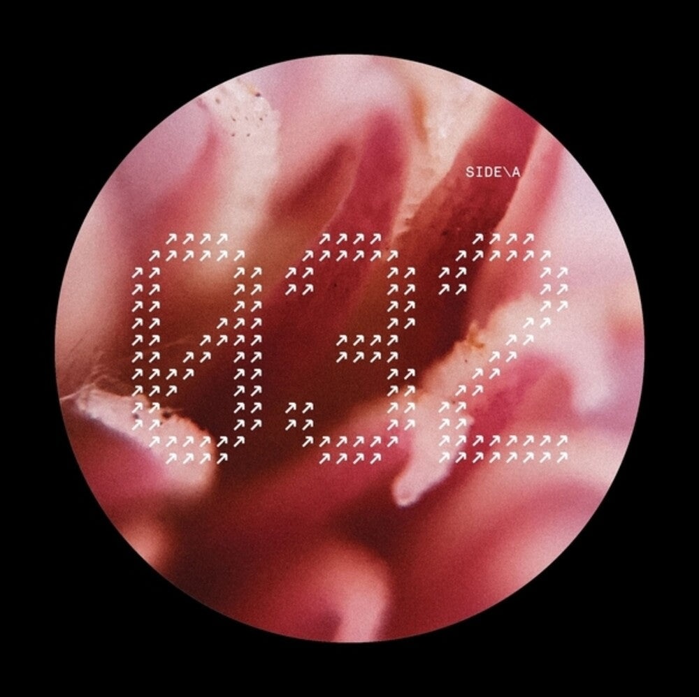 Nech032 / Various - NECH032