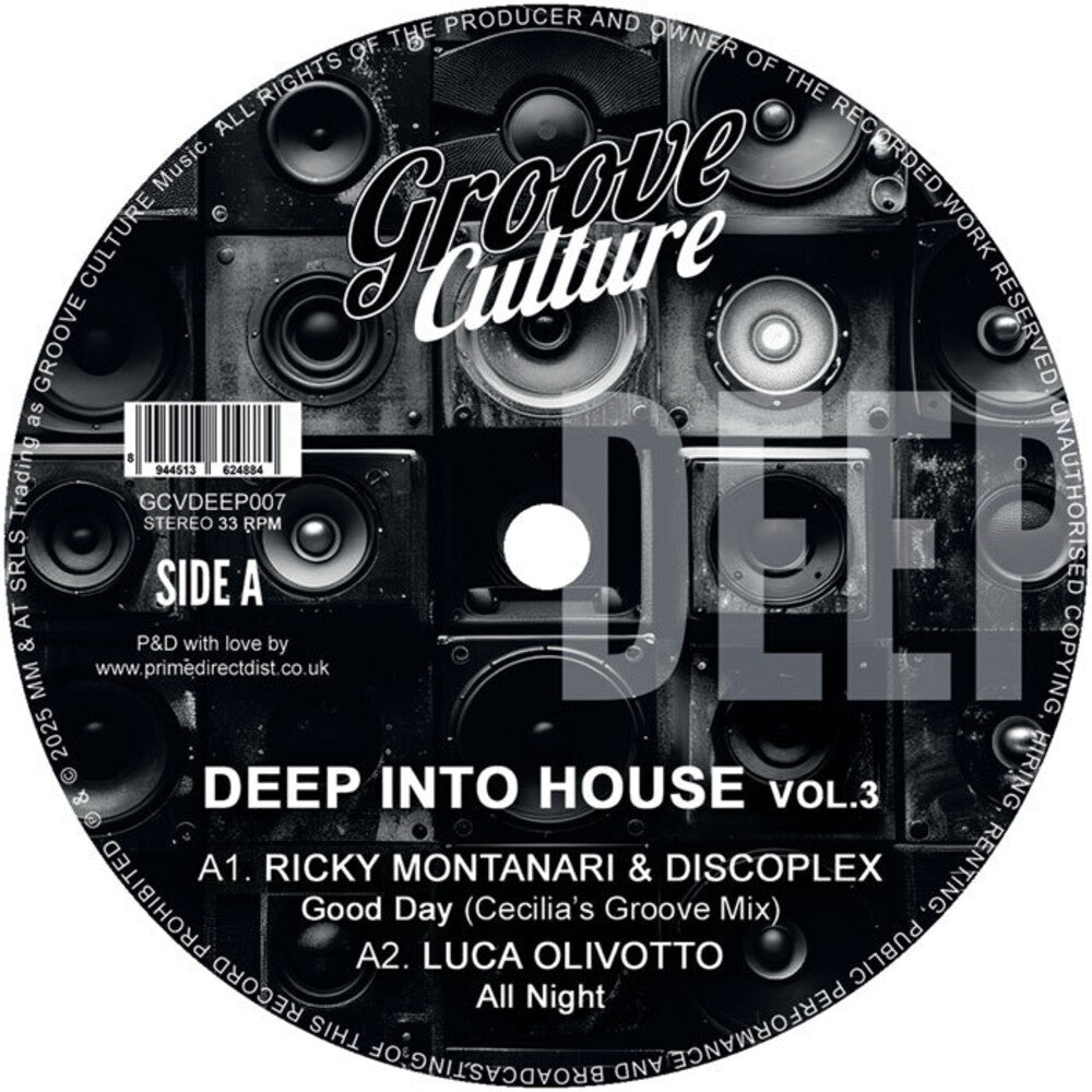 Deep Into House Vol. 3 / Various - Deep Into House Vol. 3 / Various