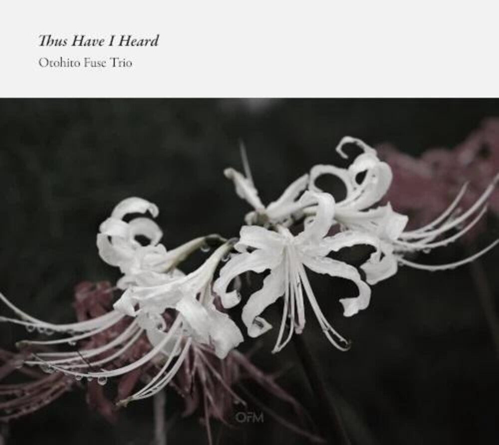 Otohito Fuse Trio - Thus Have I Heard