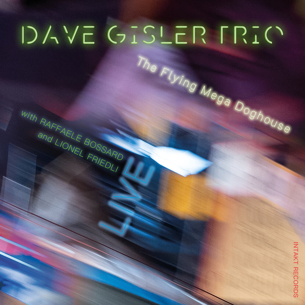 Dave Gisler Trio - Flying Mega Doghouse - Live