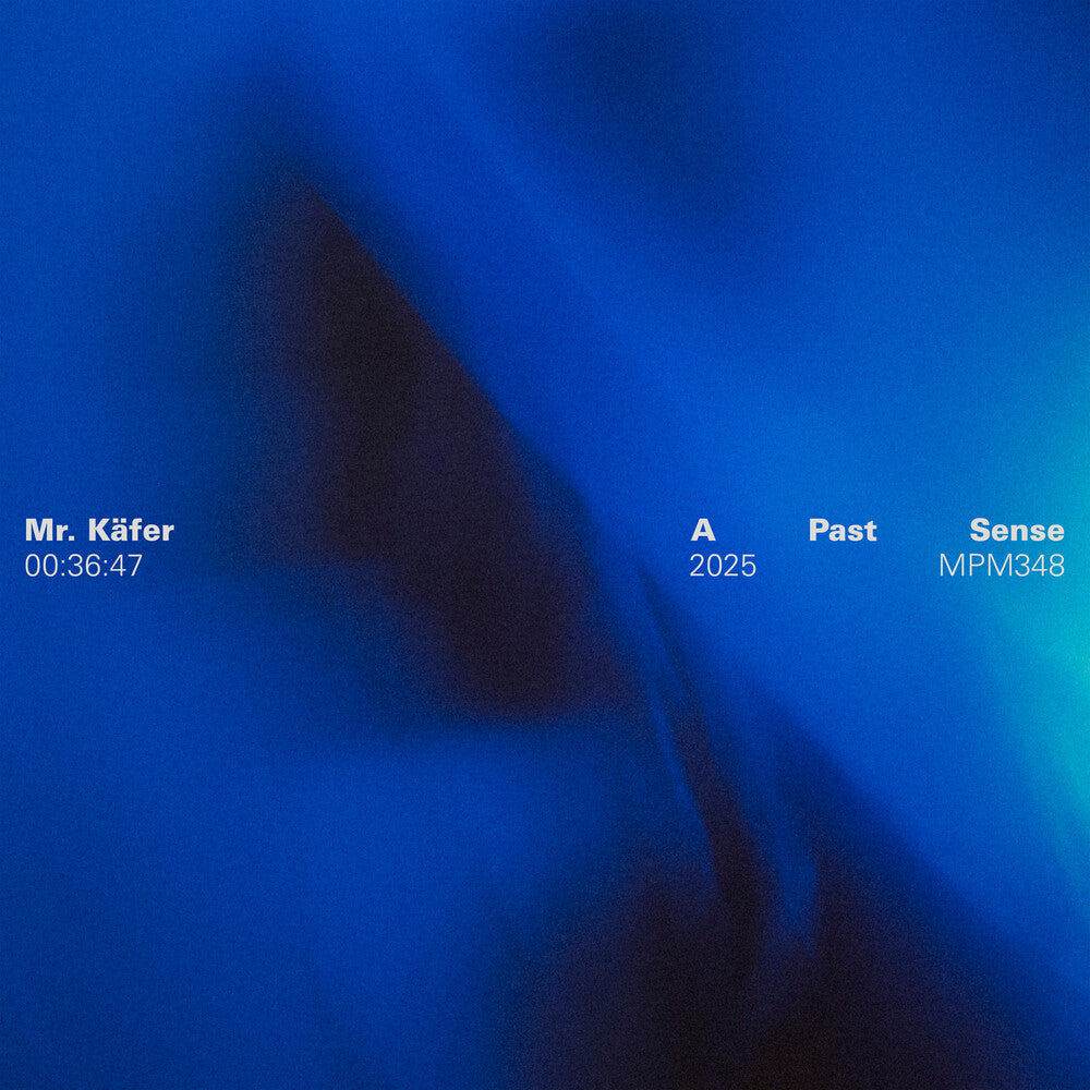 Mr. Käfer - Past Sense
