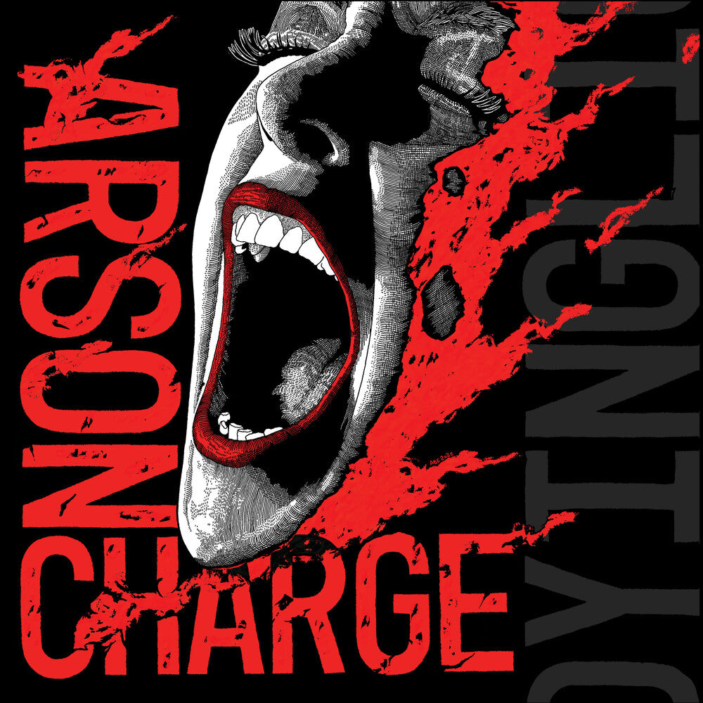 Arson Charge - Dying Light