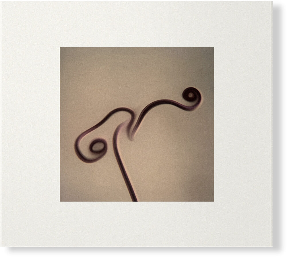 Pre-Order: Susumu Yokota - Image 1983-1998