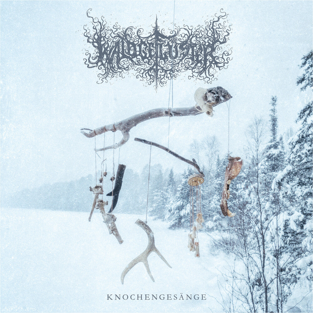 the album cover for Waldgefluster - Knochengesange