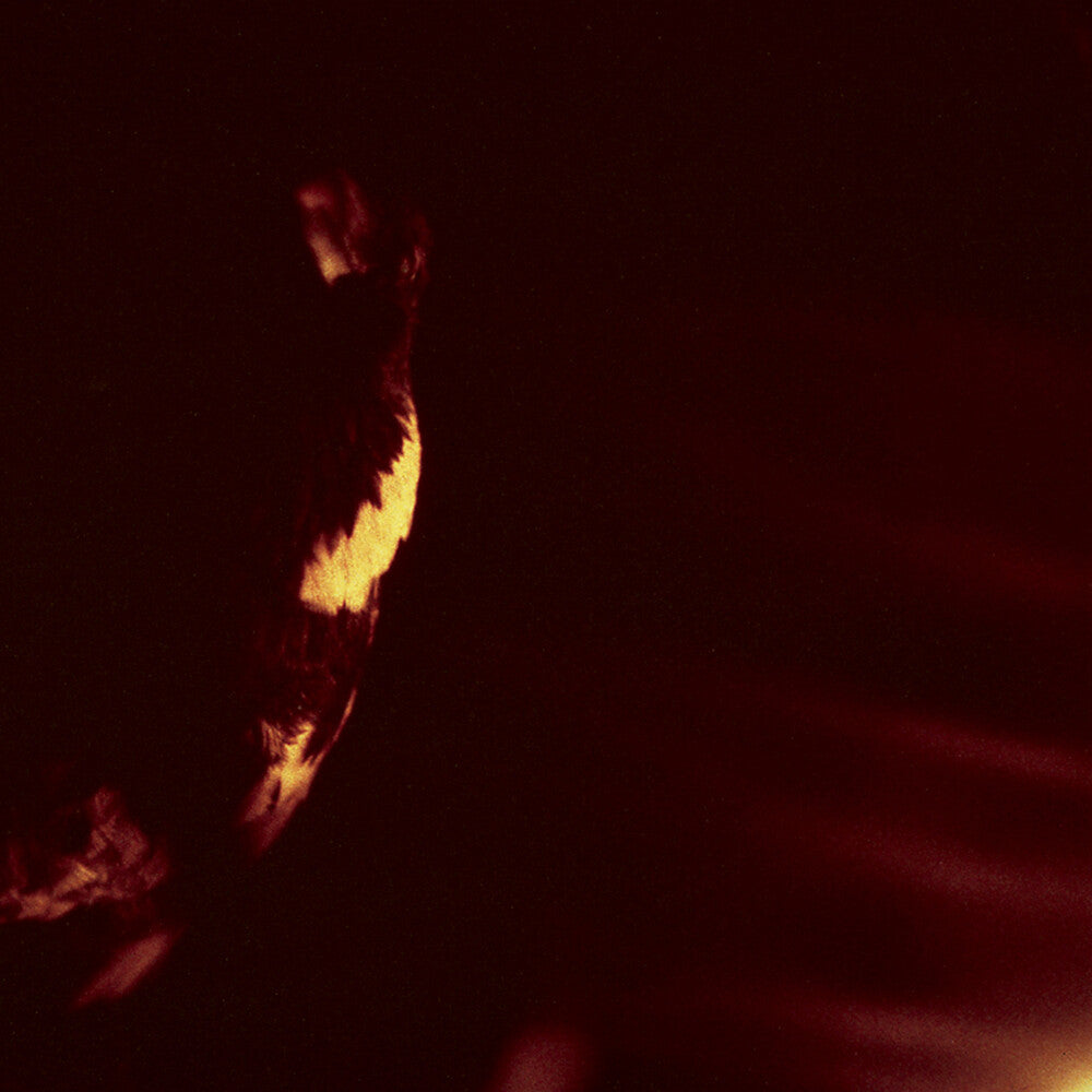 the album cover for Skepticism - Stormcrowfleet (Aniv)