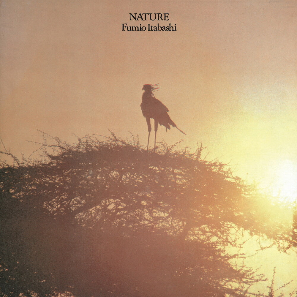 the album cover for Fumio Itabashi - Nature