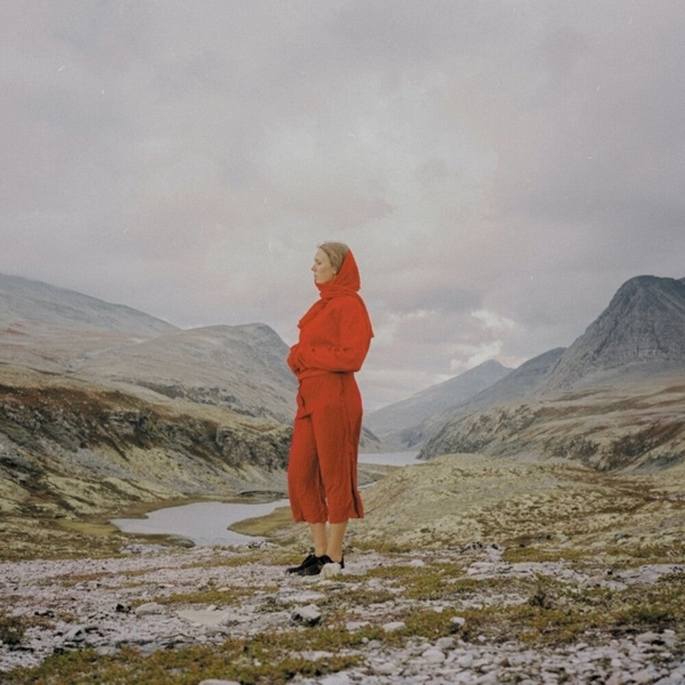 the album cover for Juni Habel - Evergreen In Your Mind