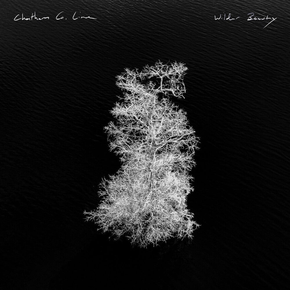 the album cover for Chatham County Line - Wilder Beauty