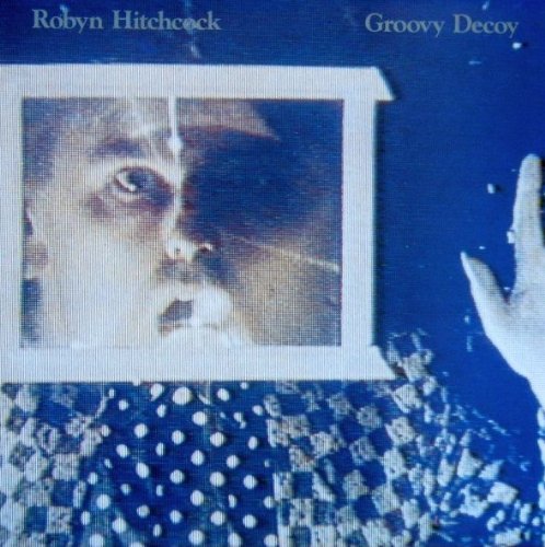 Robyn Hitchcock – Groovy Decoy LP