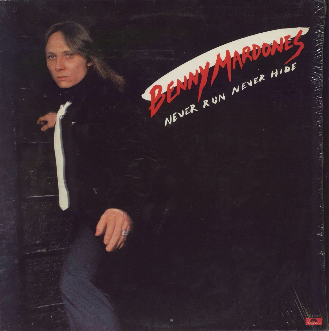 Benny Mardones - Never Run Never Hide LP