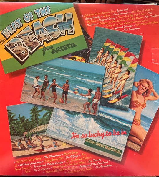 Various – The Beat Of The Beach 2LP