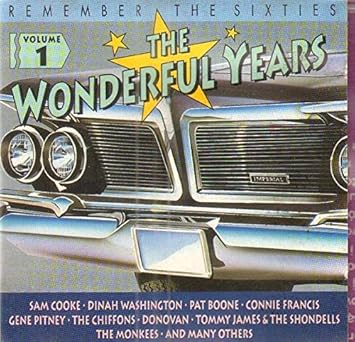 Various - Remember The Sixties: The Wonderful Years Volume 1