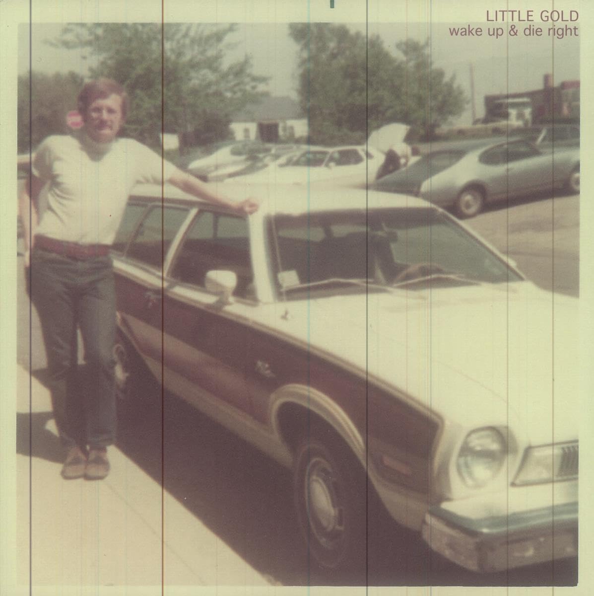 Little Gold – Wake Up & Die Right LP (blue marble)