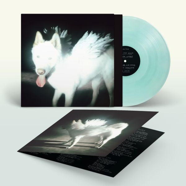 Pre-order: Fat Dog - Cancel Me (I'm Tired) (coke bottle clear vinyl)