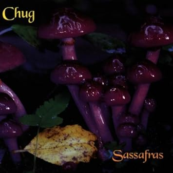 Chug - Sassafras