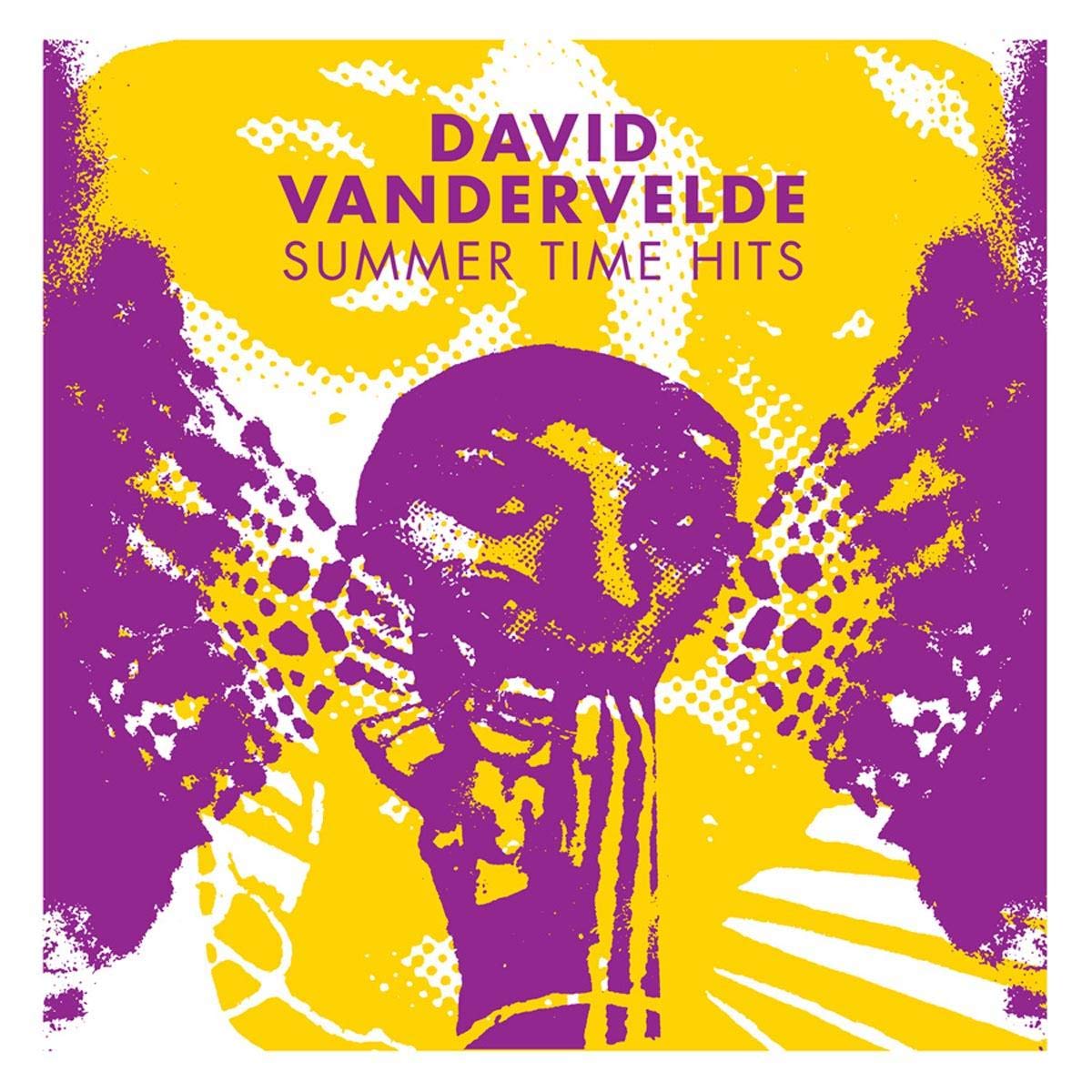 David Vandervelde - Summer Time Hits LP