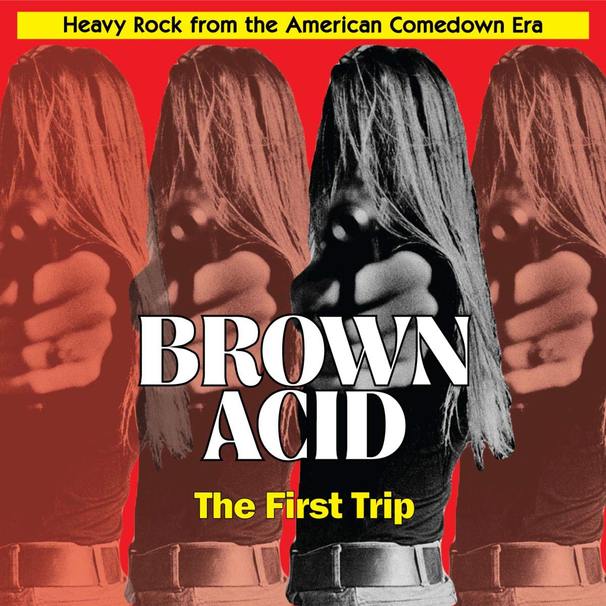 Various - Brown Acid (The First Trip) LP