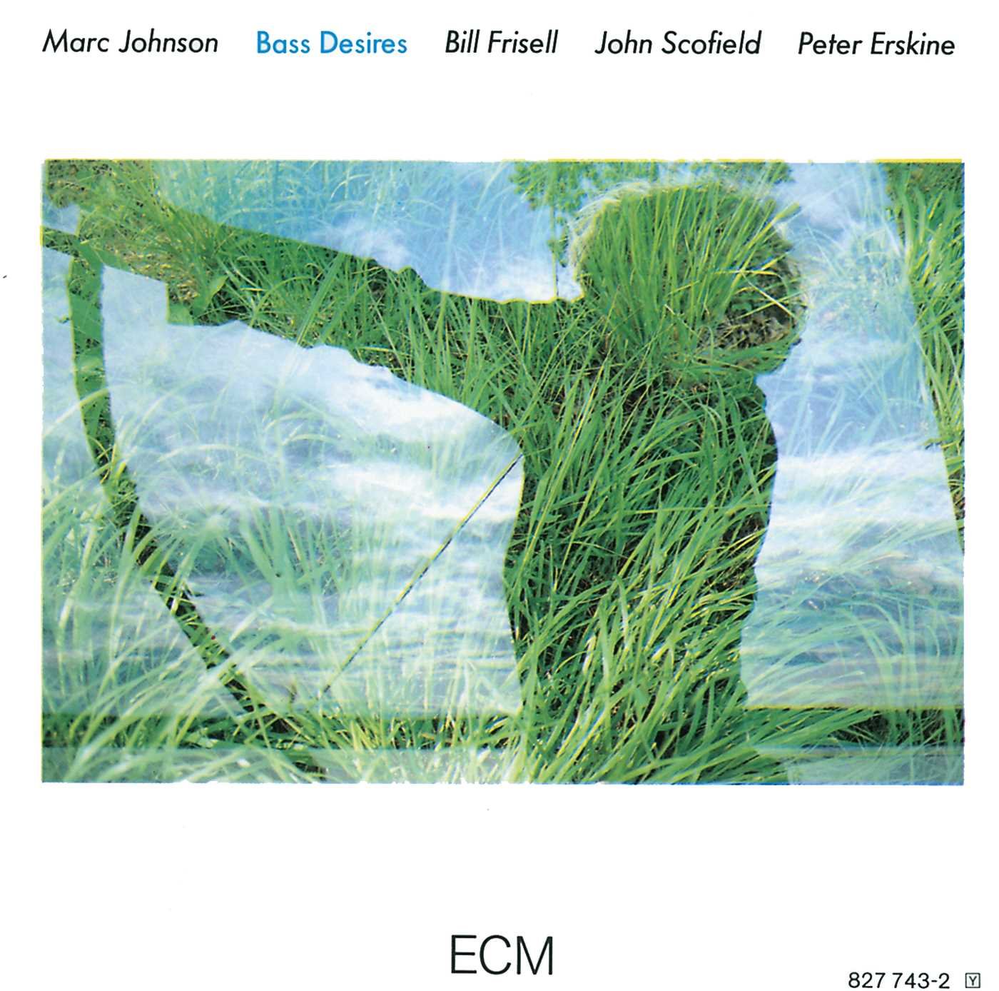 Marc Johnson - Bass Desires LP