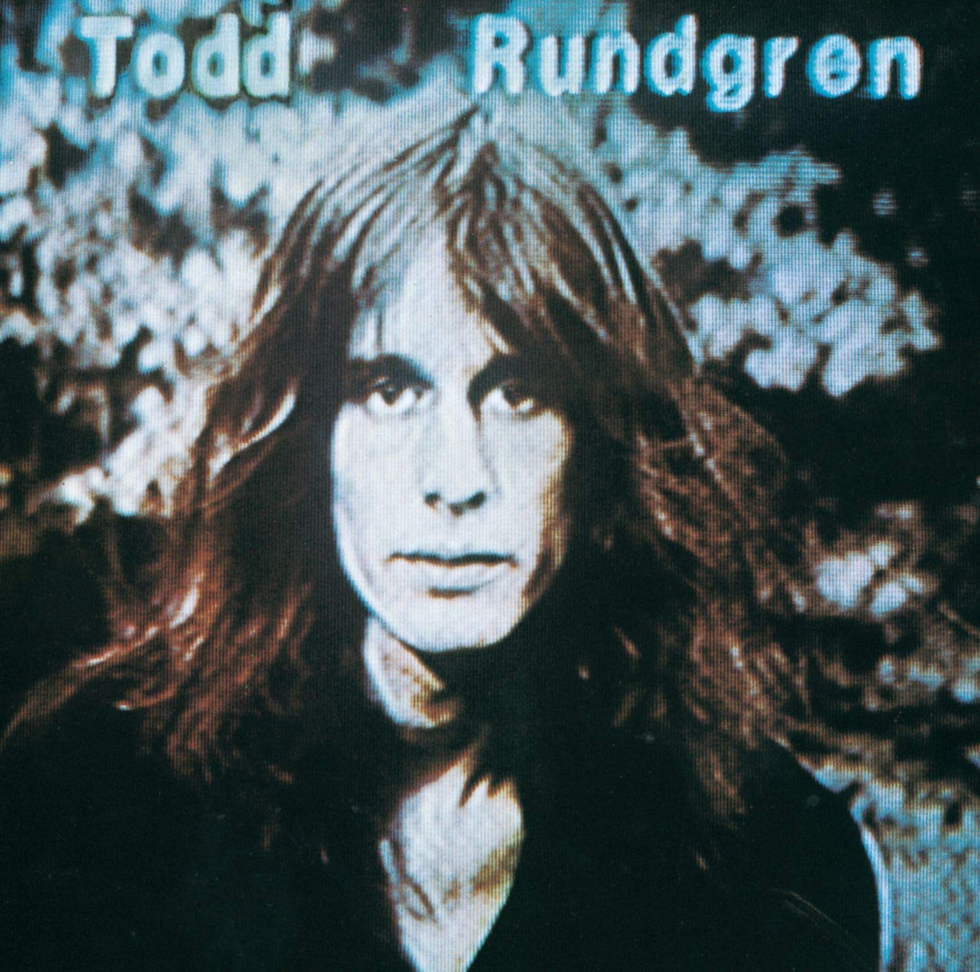 Todd Rundgren – Hermit Of Mink Hollow CD