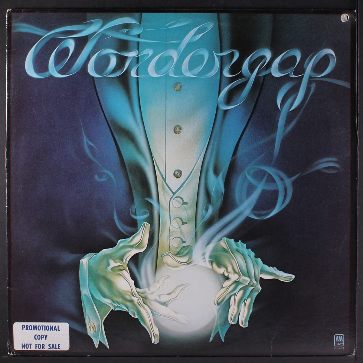 Wondergap - Self-Titled LP