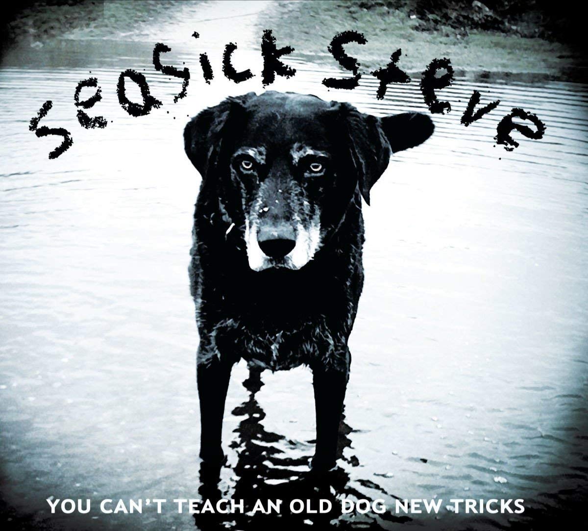 Seasick Steve - You Can't Teach An Old Dog New Tricks LP