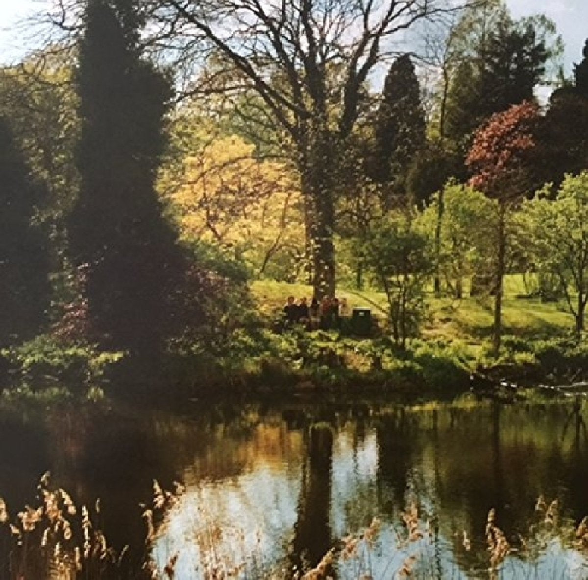 Efterklang - One Sided LP